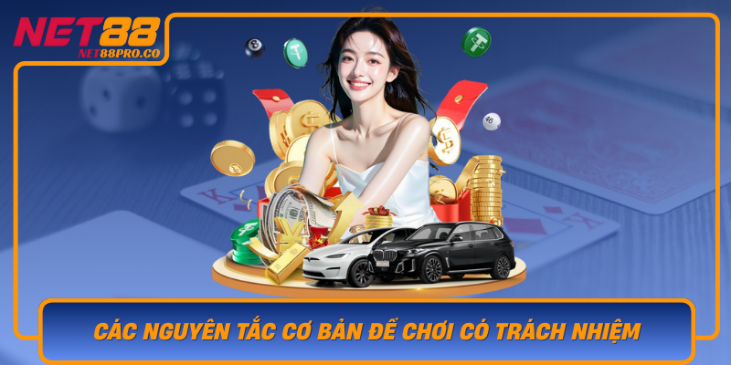 Cac Nguyen Tac Co Ban De Choi Co Trach Nhiem Tren Net88