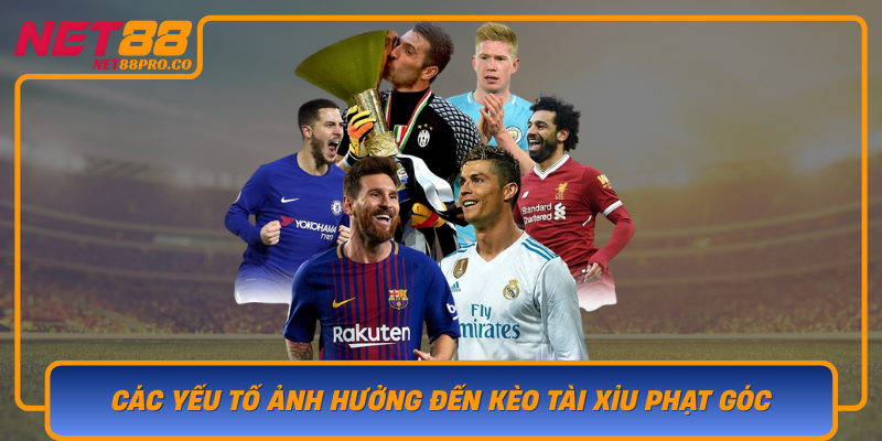 Cac Yeu To Anh Huong Den Keo Tai Xiu Phat Goc