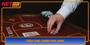 Cach Choi Thung Pha Sanh Bi Quyet Thang Lon Tai Net88