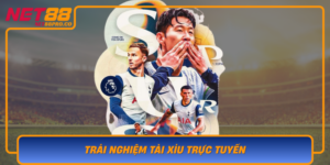 Trai Nghiem Tai Xiu Truc Tuyen Co Hoi Thang Lon Voi Net88